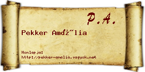 Pekker Amália névjegykártya